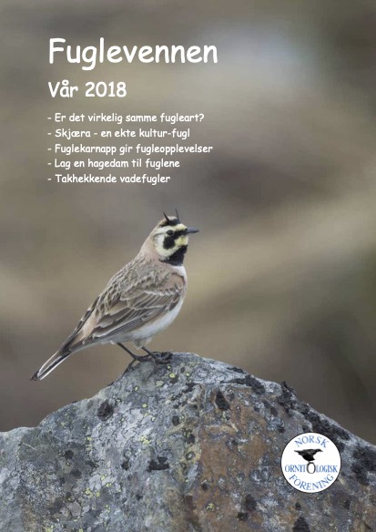 Forsiden av Fuglevennen nr 1 2018