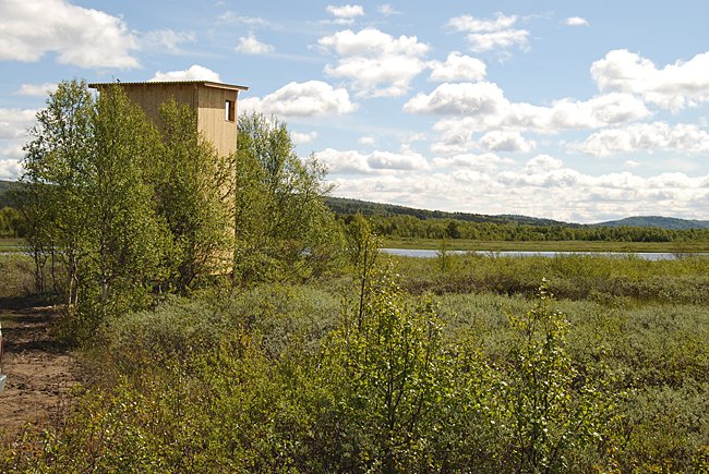 Fugletårn Stubsjøen