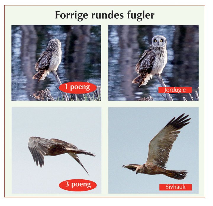 Fotonøtta Vår Fuglefauna 3-2016 fasitbilder