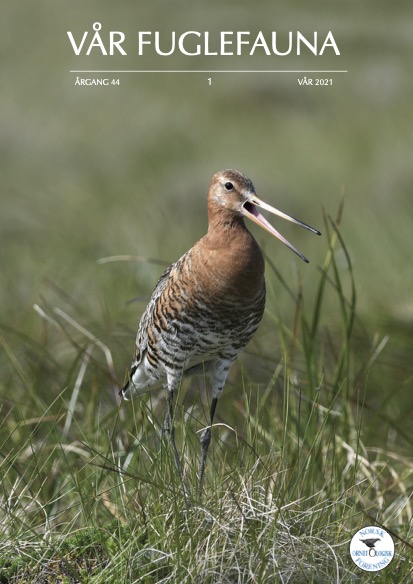 Forsiden av Vår Fuglefauna nr 1 2021