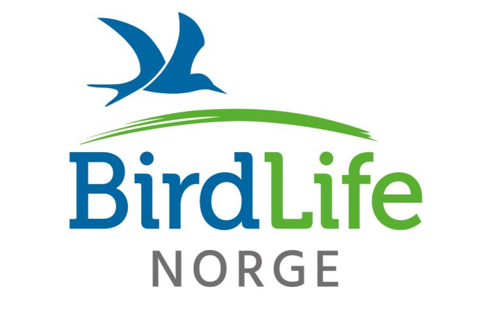 BirdLife Norge logo
