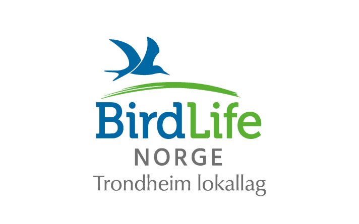 Logo Trondheim lokallag Logo Trondheim lokallag