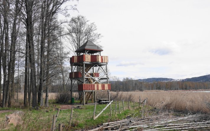 Fugletårnet på Grunnane, Svelvik
