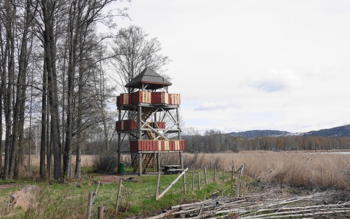 Fugletårnet på Grunnane, Svelvik Fugletårnet på Grunnane, Svelvik