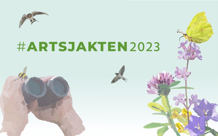 Artsjakten 2023 Artsjakten 2023