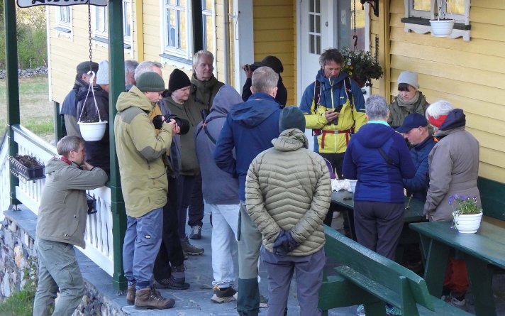 Ringmerking på Liseth Ringmerking på Liseth
