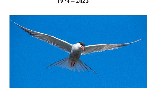 Rapport: Resultater fra 50 år med overvåkning av hekkebestandene av sjøfugl på Telemarkskysten 1974 - 2023 Rapport: Resultater fra 50 år med overvåkning av hekkebestandene av sjøfugl på Telemarkskysten 1974 - 2023