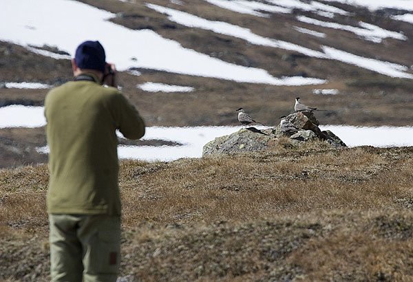 Fjelljo-fotografering.