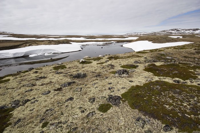 Hardangervidda Hardangervidda