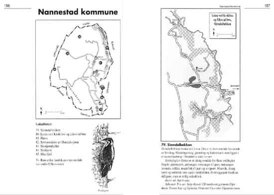 Et av oppslagene i boken