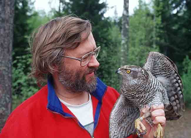 Viggo Ree med hønsehauk