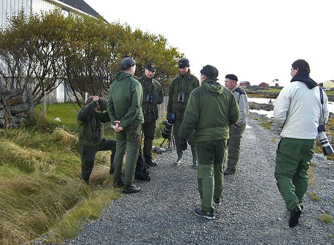 Fuglekikkere Fuglekikkere