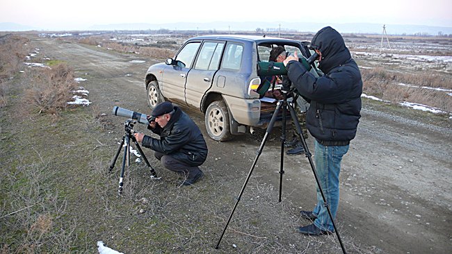 Aserbajdsjanske fugleforskere