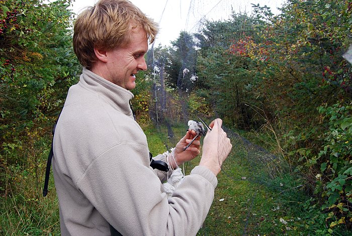 Morten Helberg i aksjon Morten Helberg i aksjon