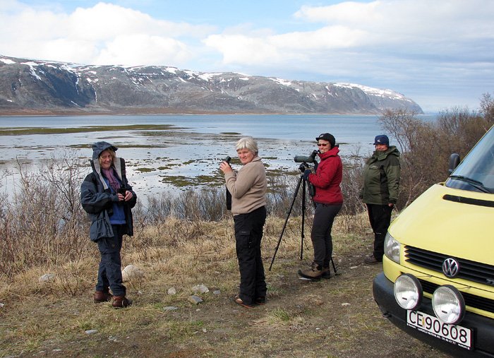 Polarsnipeskådere