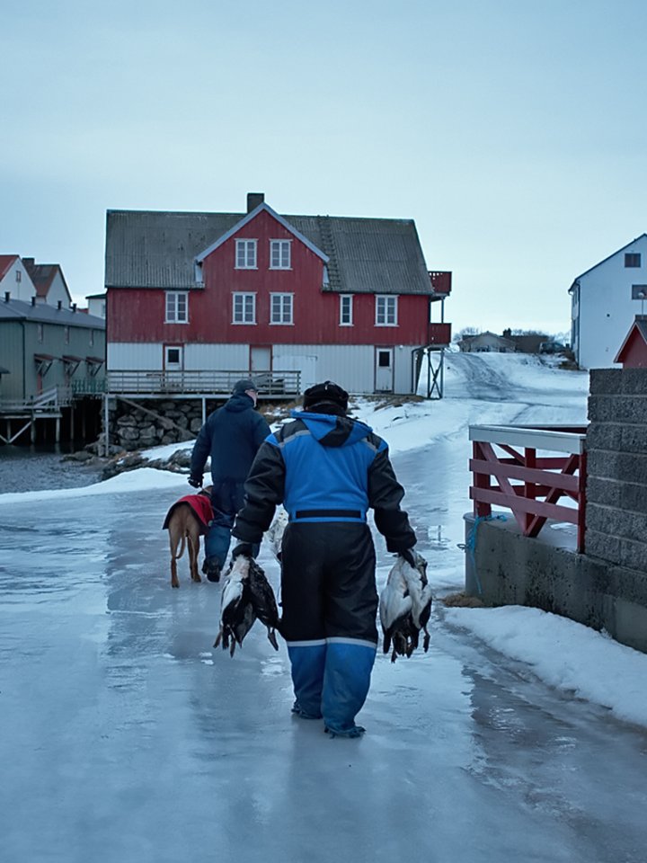 Opprydding i Andenes havn