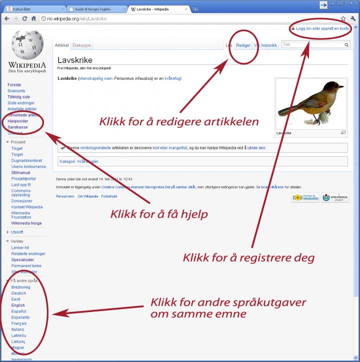 Lavskrike norsk Wikipedia