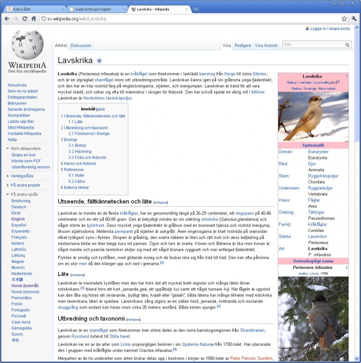 Lavskrike svensk Wikipedia
