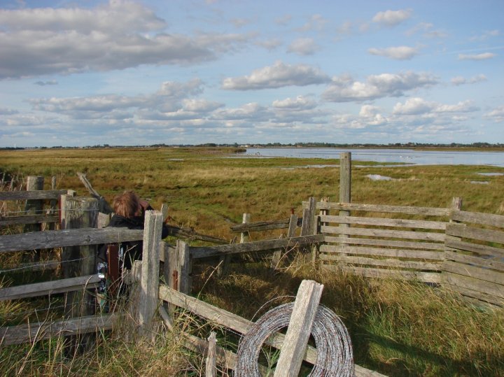 Falsterbo