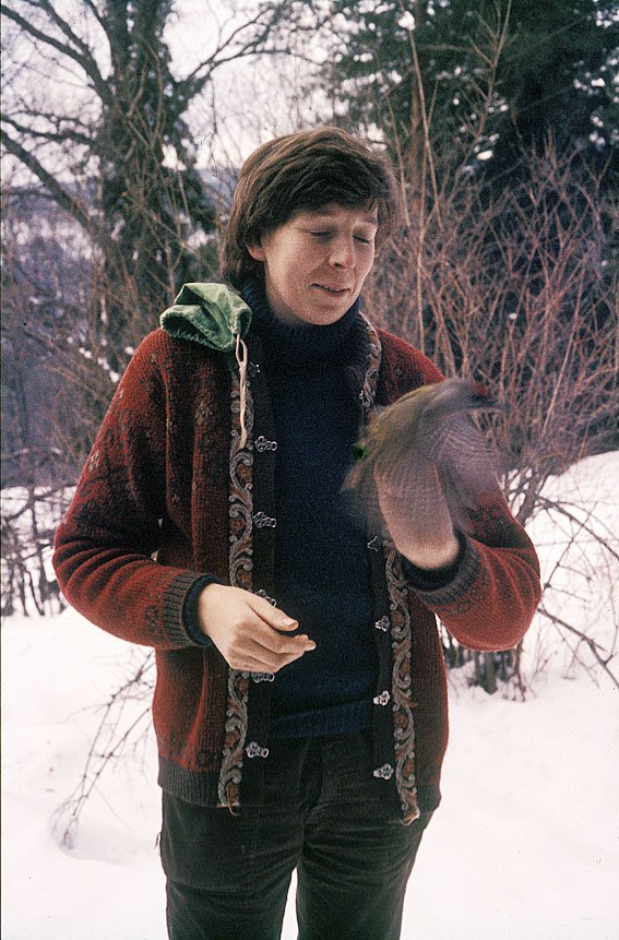 Timothy Greenwood med gråspett