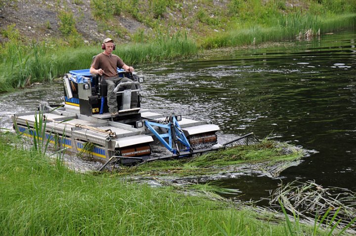 Slått i dam