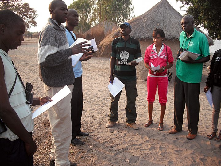 Overvåking IBA Zambia