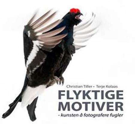 Flyktige Motiver