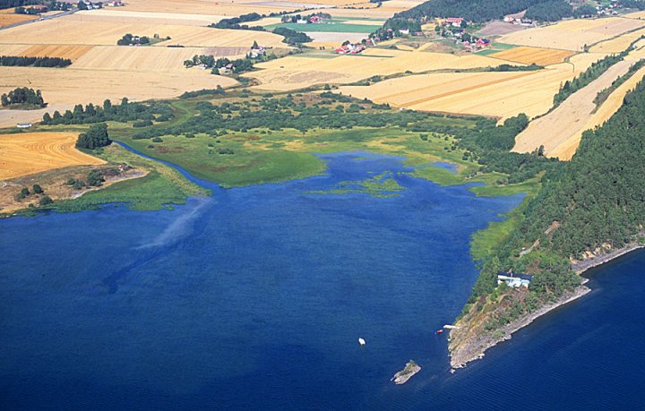 Flyfoto Steinsvika