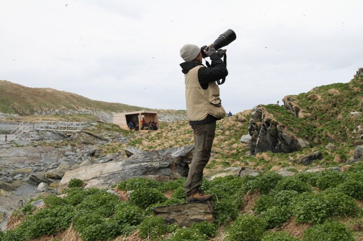 Fugletårnet på Hornøya 2012