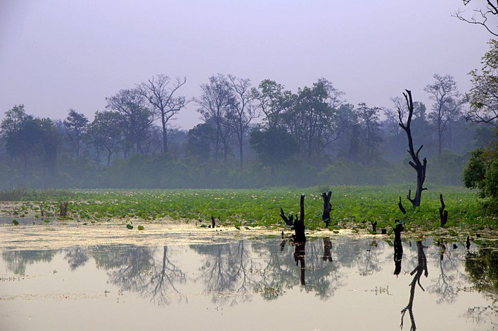 Lake Ghoda Ghodi