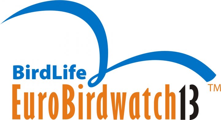 EBW logo 2013 EBW logo 2013