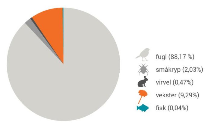 Antall rapporter per modul