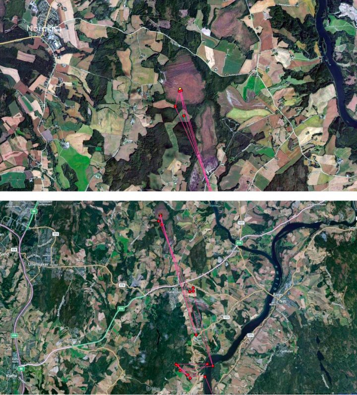 Satellittbilder av sædgåstrekk