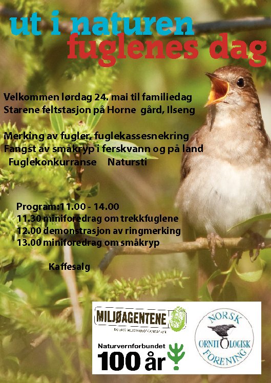 Ut i naturen, fuglenes dag Ut i naturen, fuglenes dag