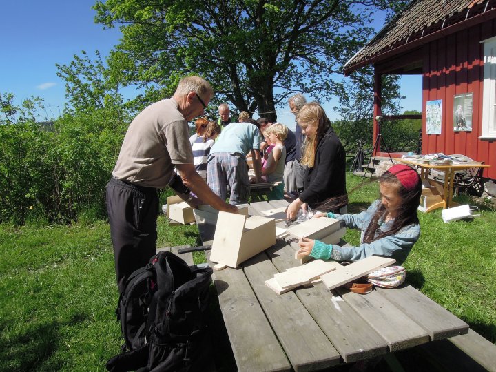 Fuglenes Dag Holmen Tønsberg