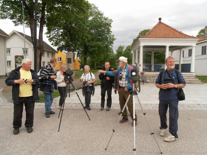 Fuglevandring i Kongsberg