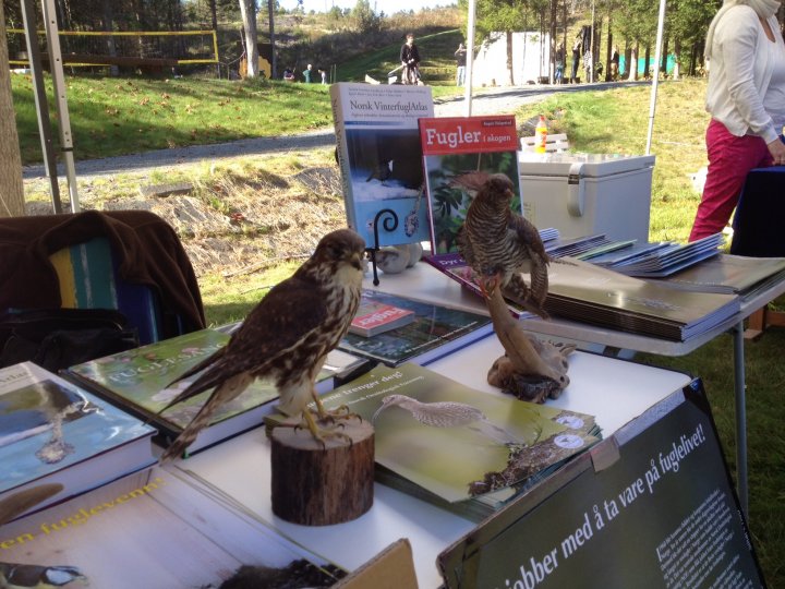 Stand på Fiskum 2014