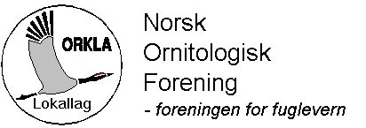 Logo NOF Orkla