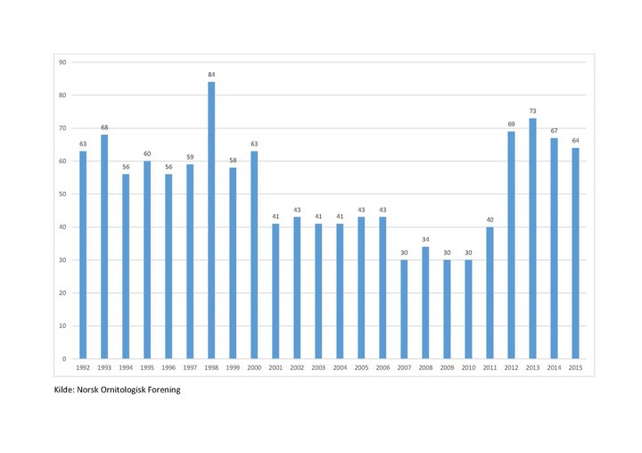 Antall vårrastende dverggjess på Valdakmyra i Finnmark i perioden 1992-2015