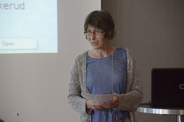 Elfrid Engen (Fylkesmannen i Buskerud) holder foredrag 2. juli 2015