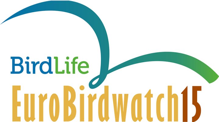 EBW logo 2015 EBW logo 2015