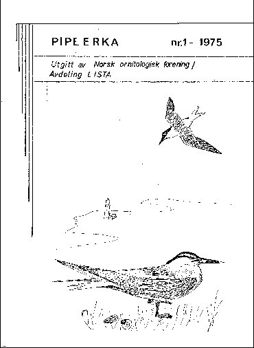 Piplerka 05 (1975-1)