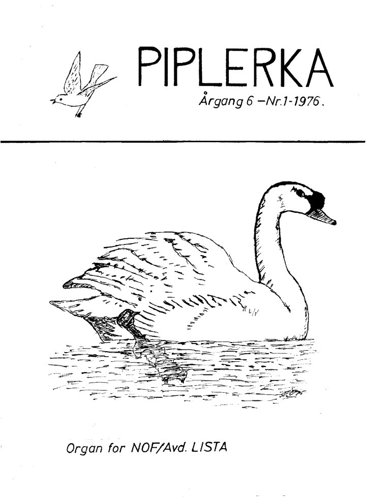Piplerka 06 (1976-1)
