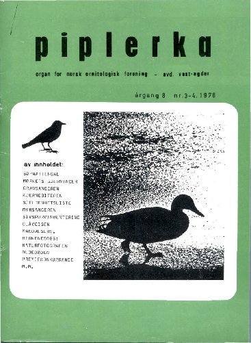 Piplerka 08 (1978-3/4)