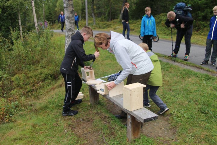 Høstdagen snekring