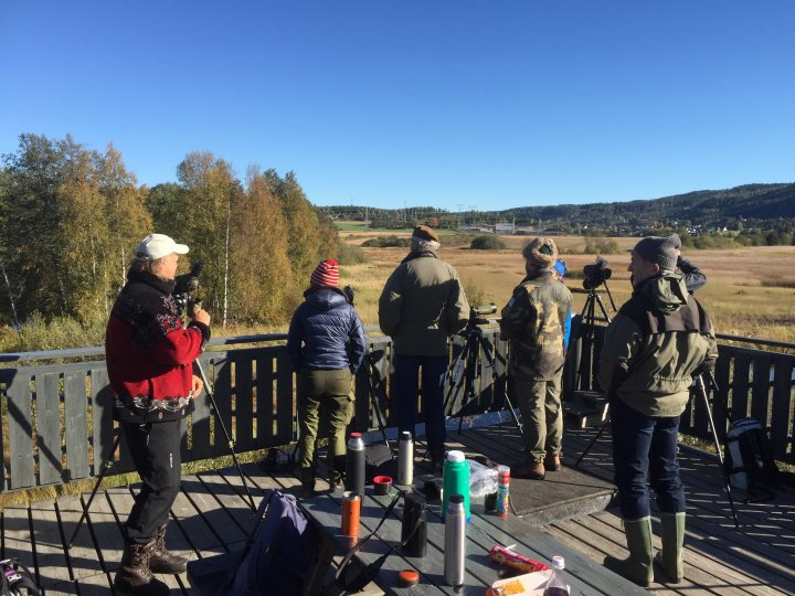 Fugletårnet fiskumvannet