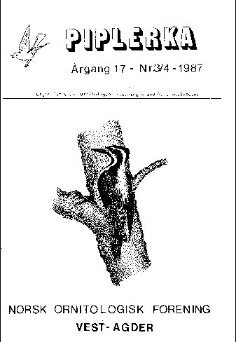 Piplerka 17 (1987-3/4)