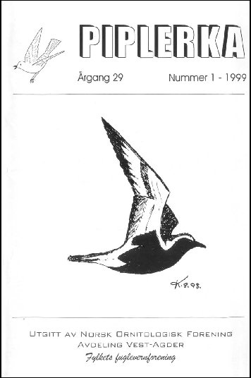 Piplerka 29 (1999-1)