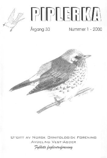 Piplerka 30 (2000-1)