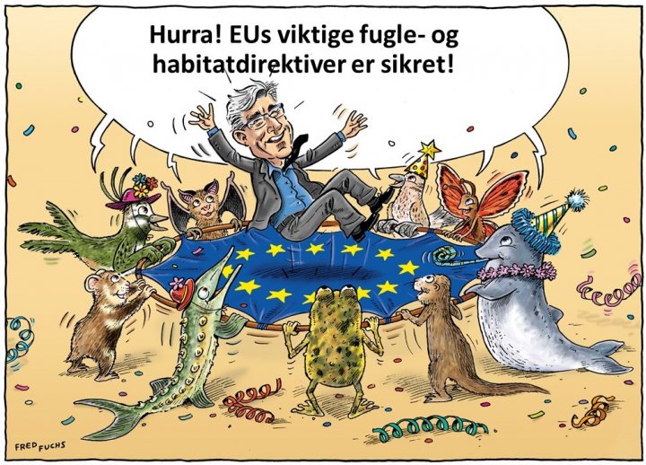 EU-direktiv